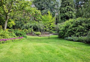 Optimiser l'expérience du jardin à Blancafort