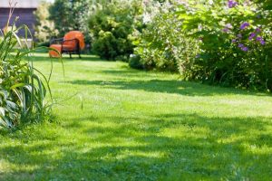 travaux jardin et paysage Blancafort